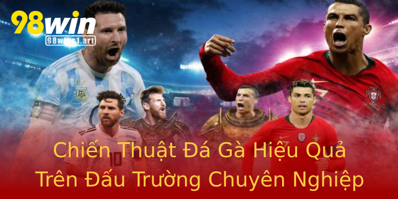 Chiến Thuật Đá Gà Hiệu Quả Trên Đấu Trường Chuyên Nghiệp Chiến Thuật Đá Gà Hiệu Quả Trên Đấu Trường Chuyên Nghiệp