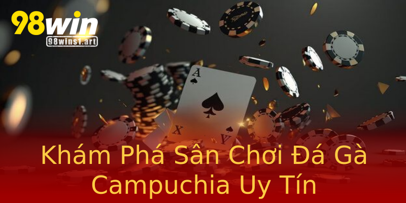 Khám Phá Sân Chơi Đá Gà Campuchia Uy Tín Khám Phá Sân Chơi Đá Gà Campuchia Uy Tín