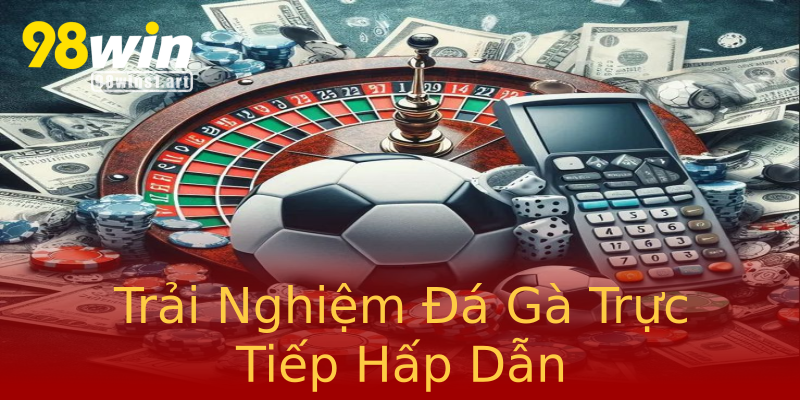 Trải Nghiệm Đá Gà Trực Tiếp Hấp Dẫn Trải Nghiệm Đá Gà Trực Tiếp Hấp Dẫn